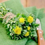 What is Rhodiola