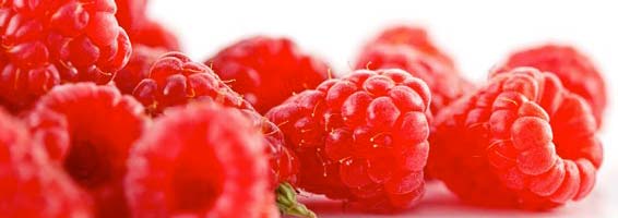 All about raspberry ketones